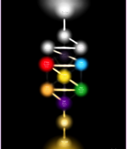 12 спиралей ДНК