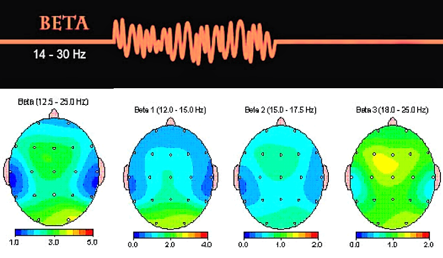 Уровень активности мозга. Альфа бета гамма волны головного мозга. Альфа бета тета ритмы. Альфа бета тета ритмы мозга. Альфа ритм и бета ритм головного мозга.